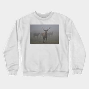 The Standoff (Deer In Fog) Crewneck Sweatshirt